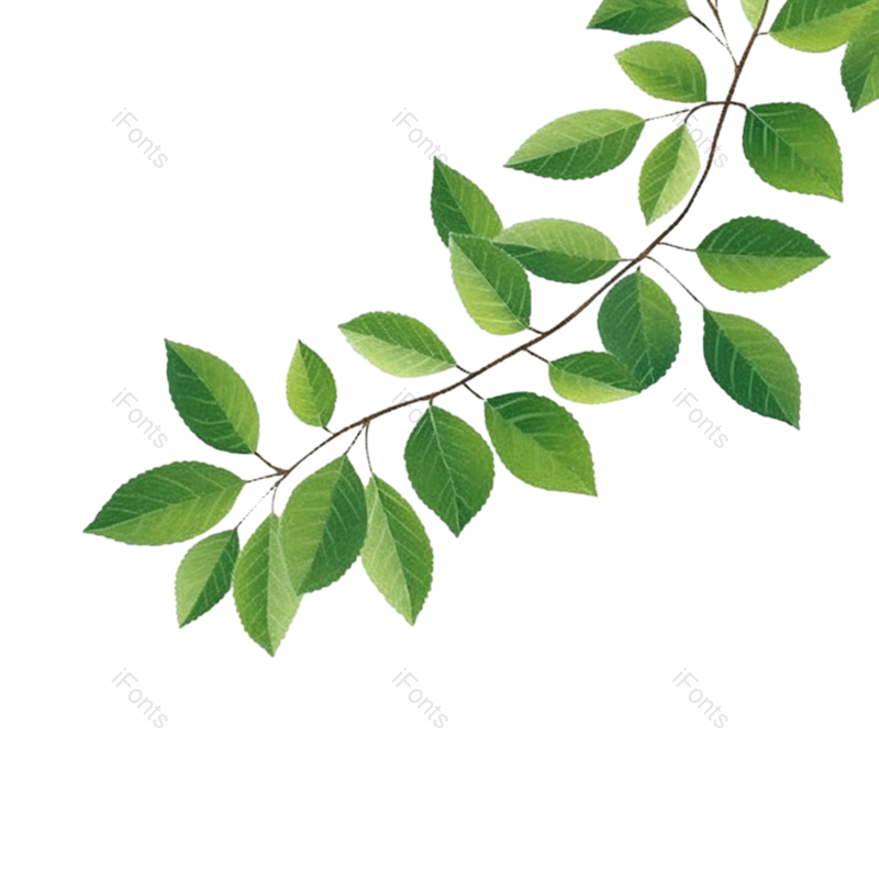 叶子图片,元素元素,插画PNG,绿叶免抠素材
